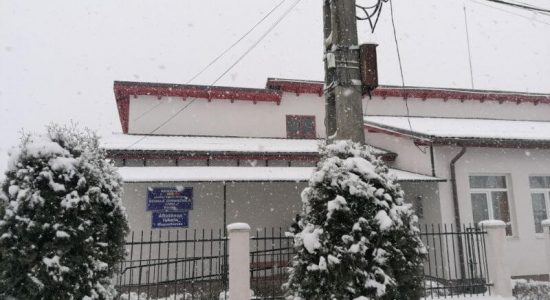 RAPORT DE ANALIZĂ A ACTIVITĂŢII