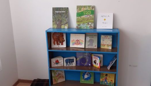 Metodologia de organizare si desfasurare a Evaluarilor Nationale la finalul claselor a II-a a IV-a si a VI-a